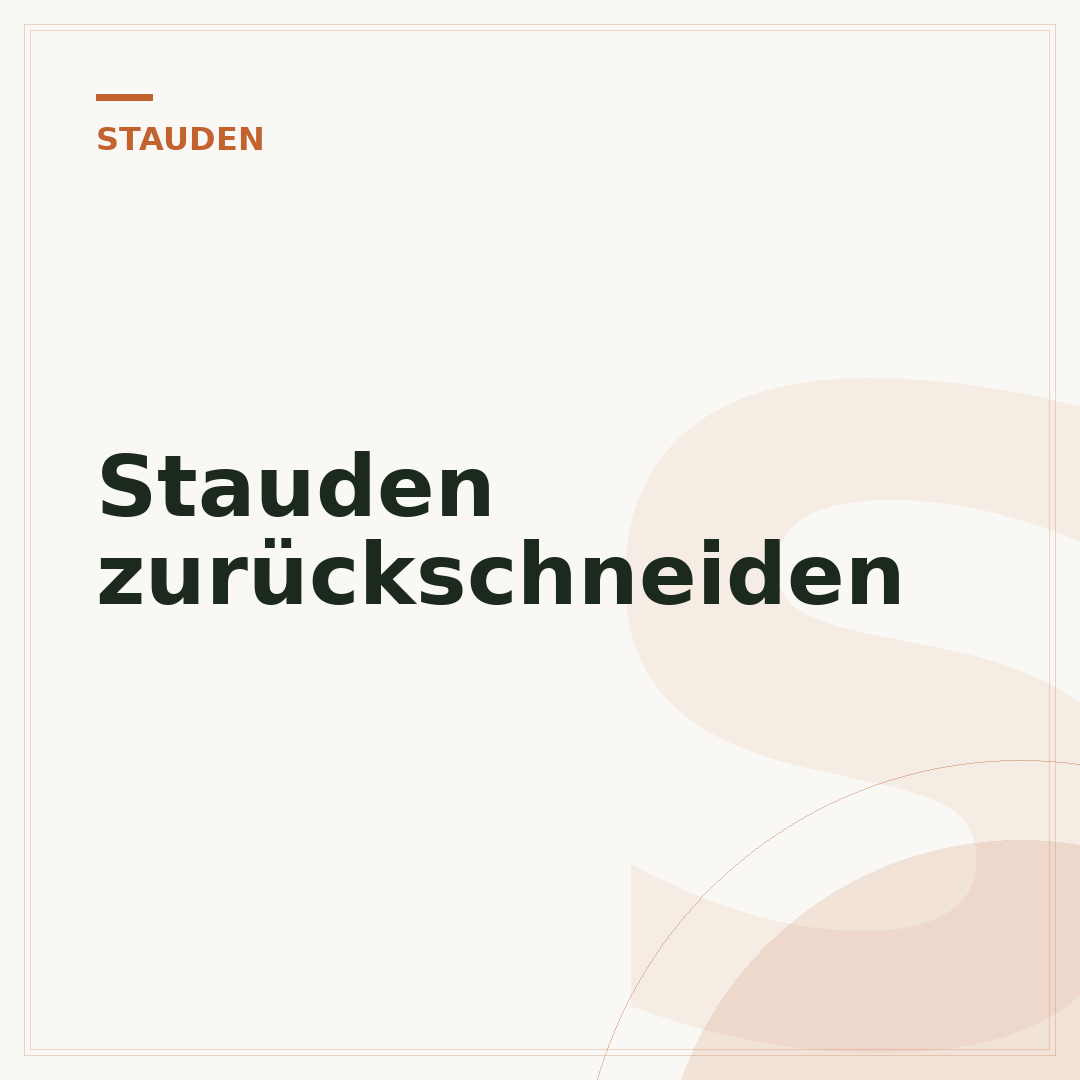 Stauden zurückschneiden