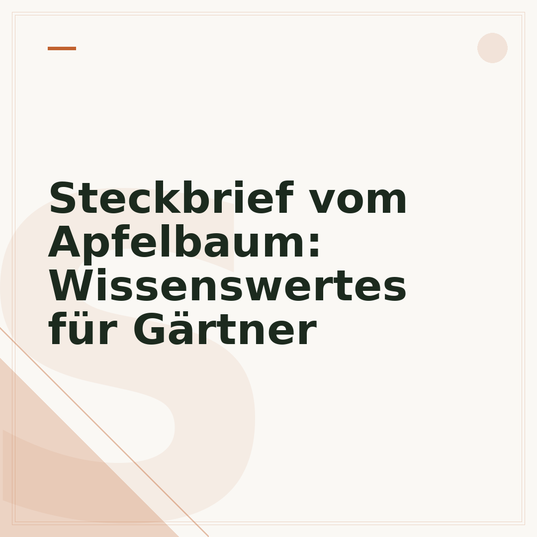 Steckbrief vom Apfelbaum: Wissenswertes für Gärtner