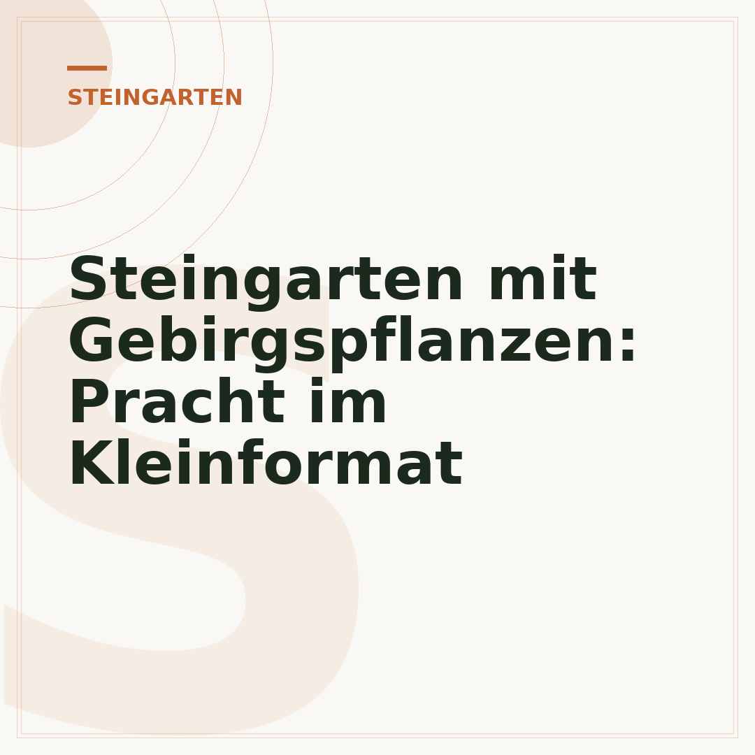 Steingarten mit Gebirgspflanzen: Pracht im Kleinformat