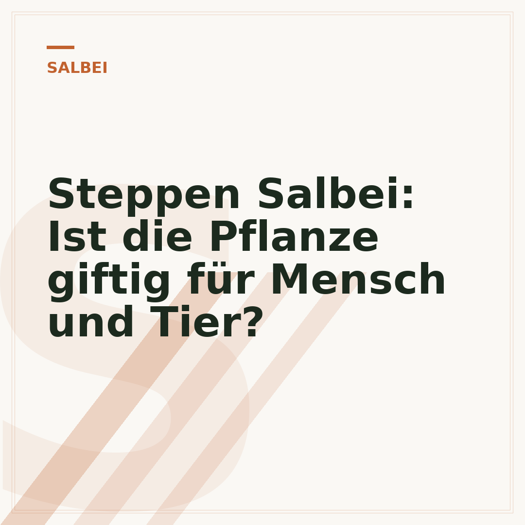 Steppen Salbei: Ist die Pflanze giftig für Mensch und Tier?