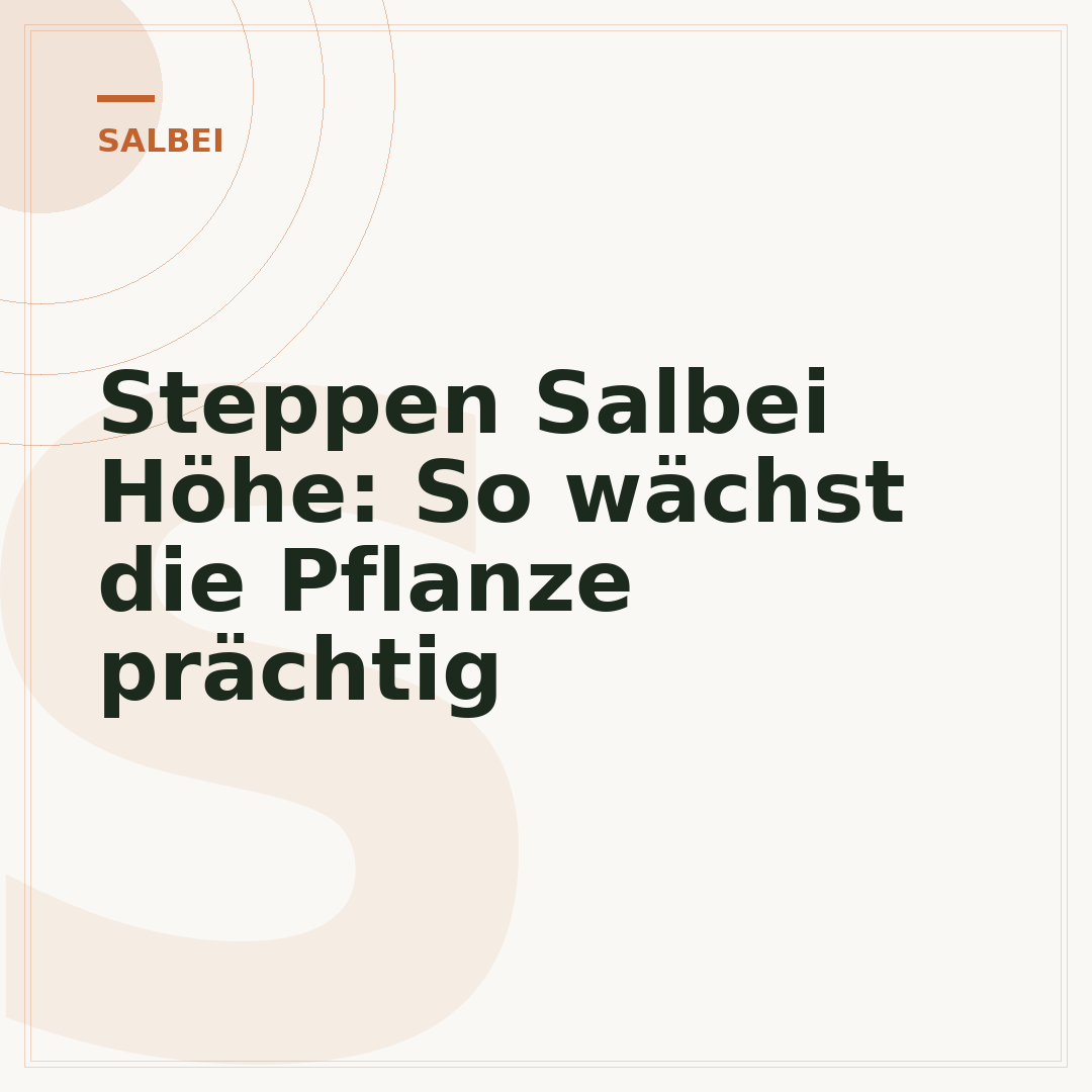 Steppen Salbei Höhe: So wächst die Pflanze prächtig
