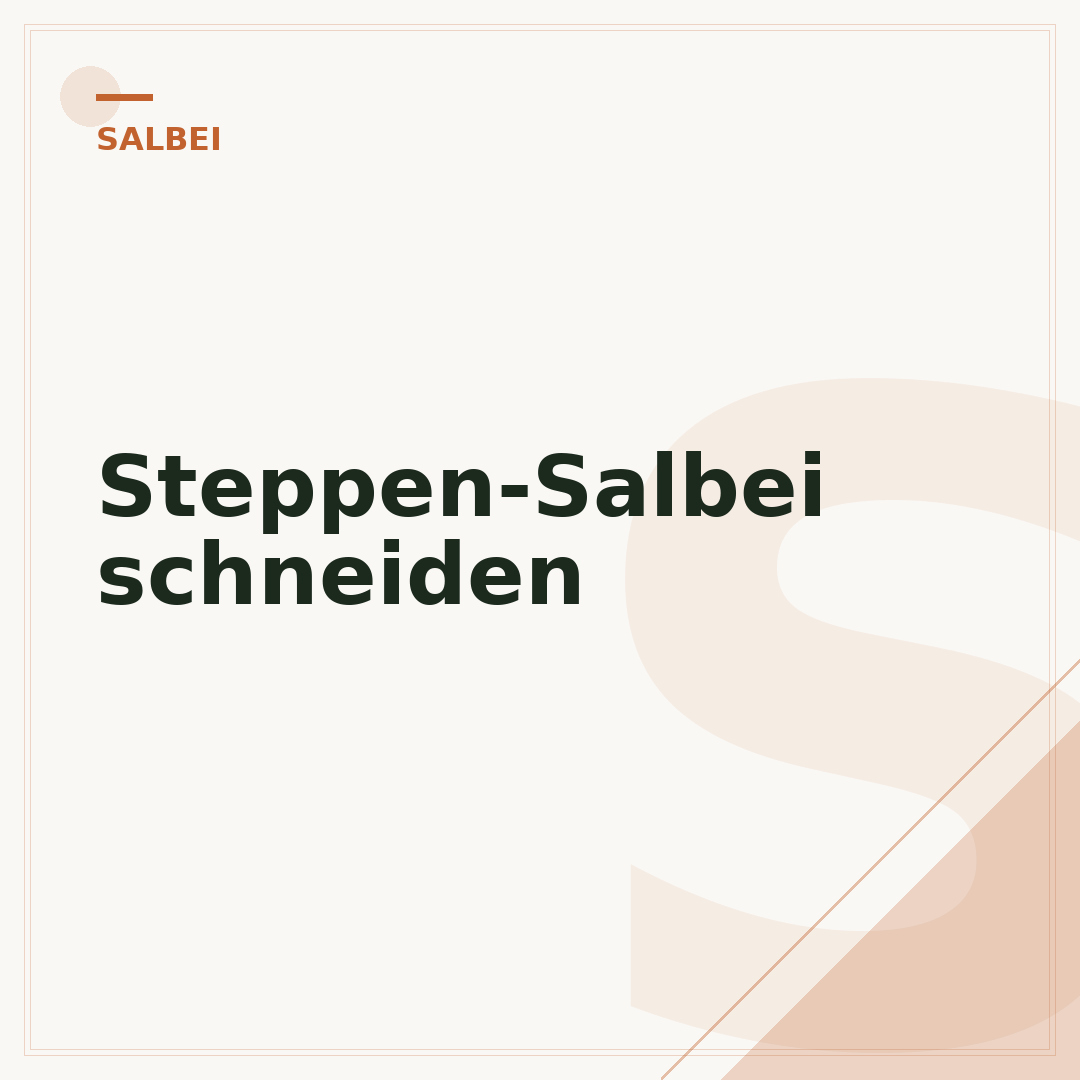 Steppen-Salbei schneiden