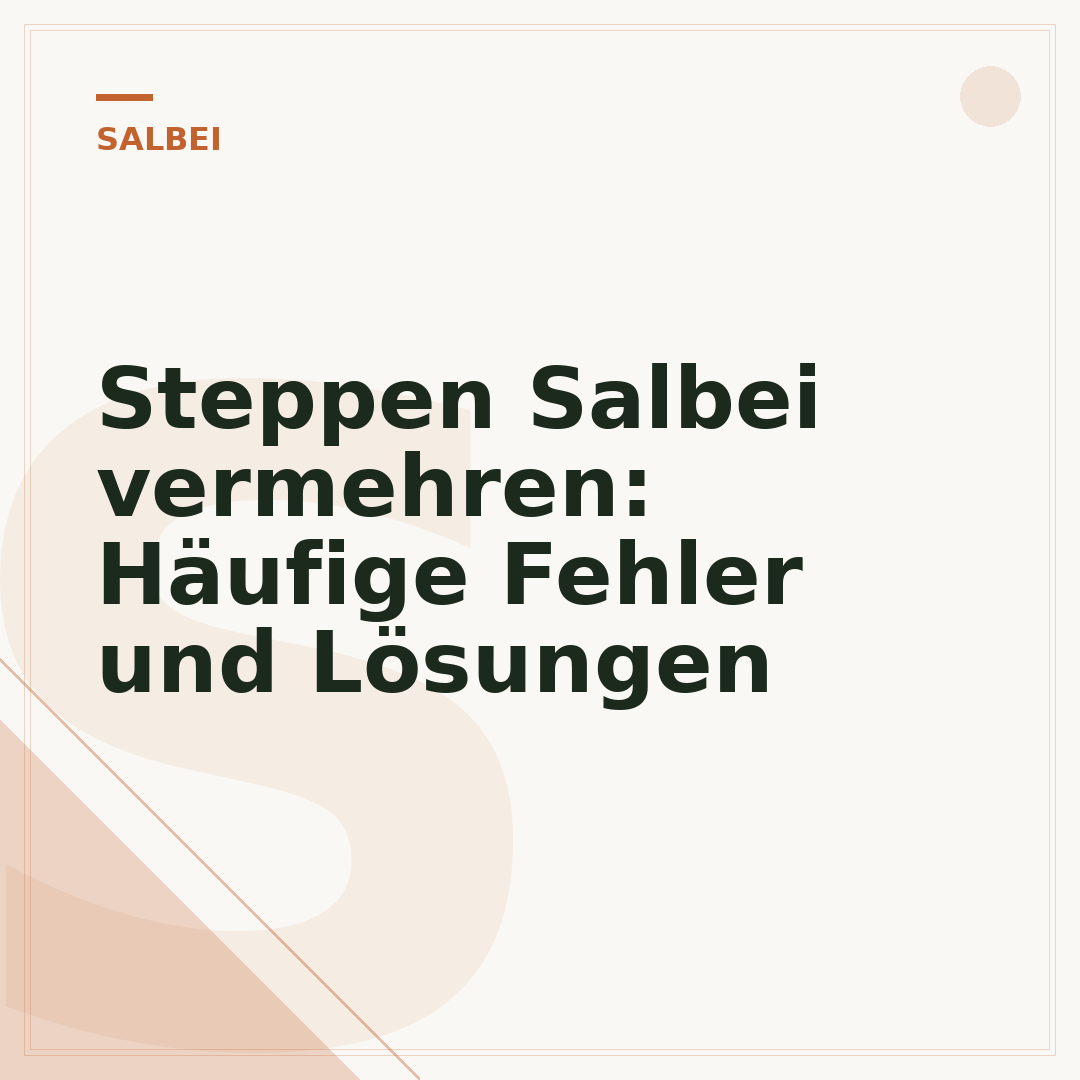 Steppen Salbei vermehren: Häufige Fehler und Lösungen