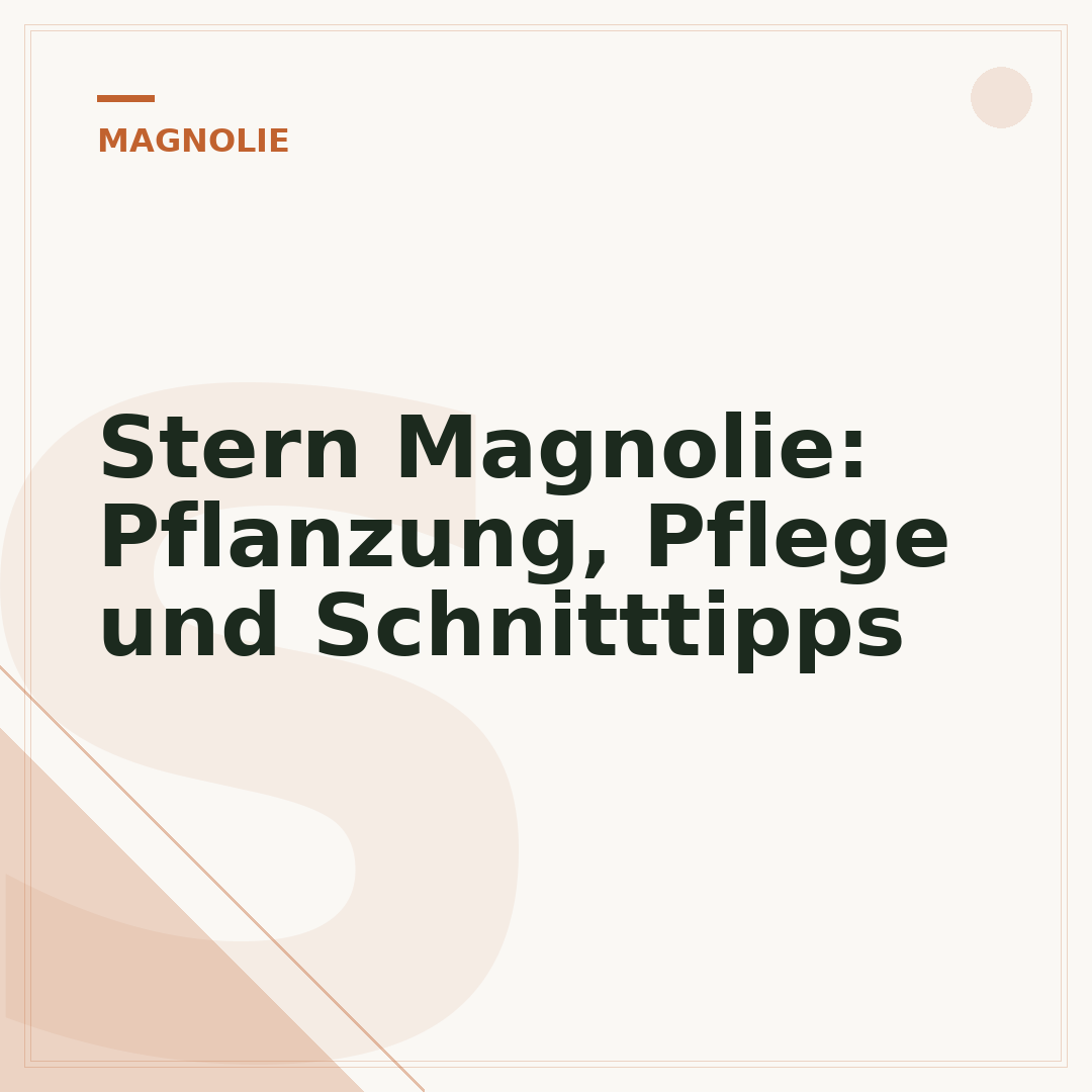 Stern Magnolie: Pflanzung, Pflege und Schnitttipps