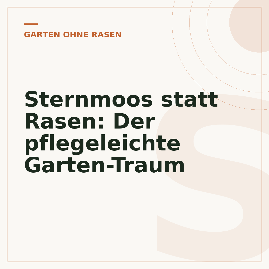 Sternmoos statt Rasen: Der pflegeleichte Garten-Traum