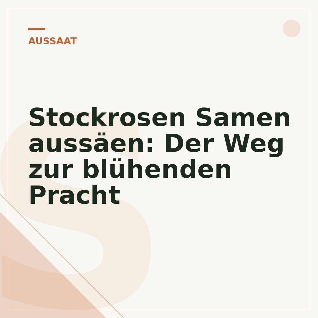 Stockrosen Samen aussäen: Der Weg zur blühenden Pracht