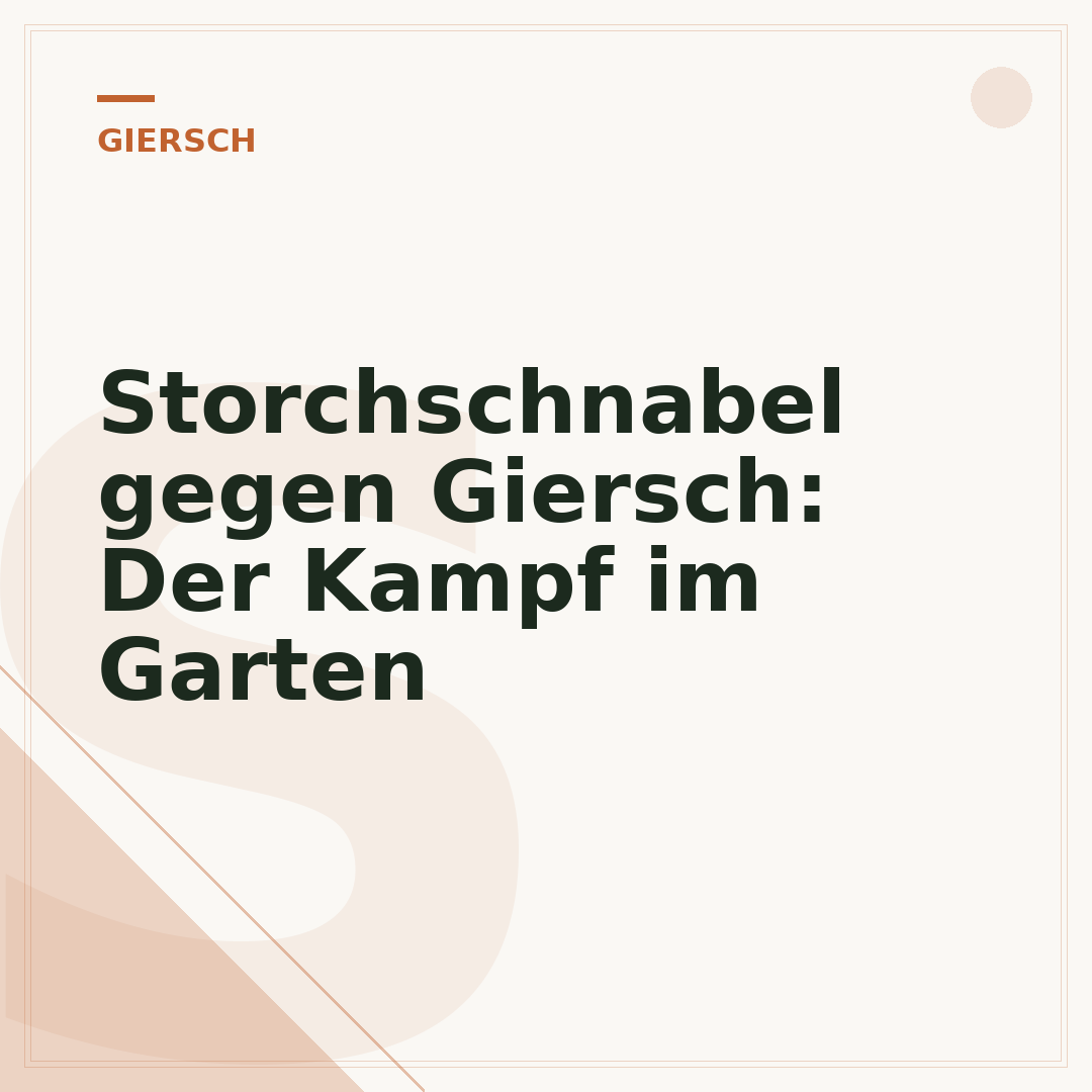 Storchschnabel gegen Giersch: Der Kampf im Garten