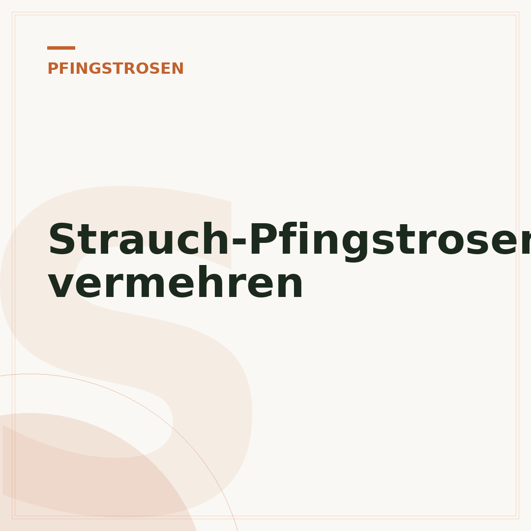 Strauch-Pfingstrosen vermehren