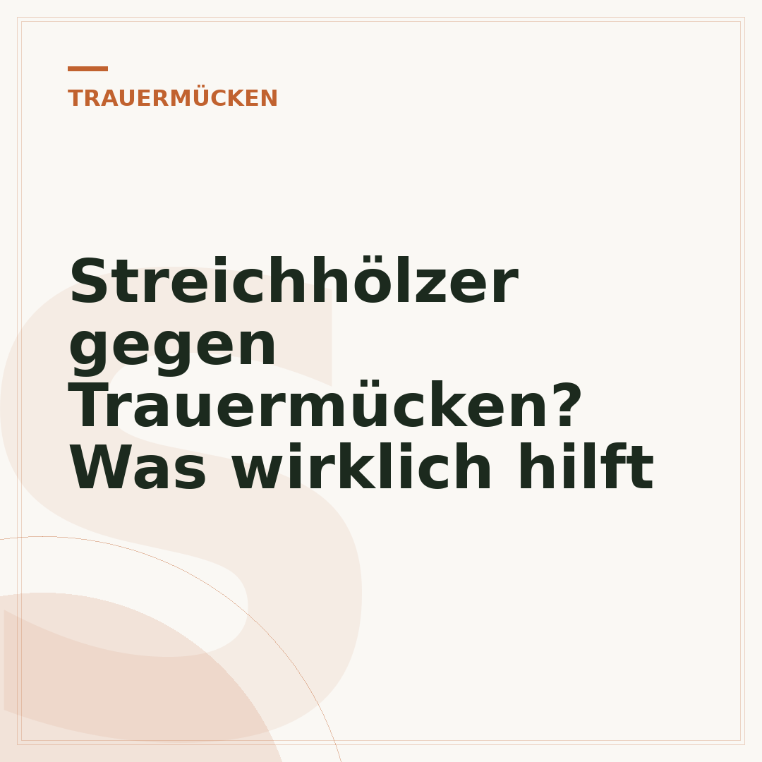 Streichhölzer gegen Trauermücken? Was wirklich hilft