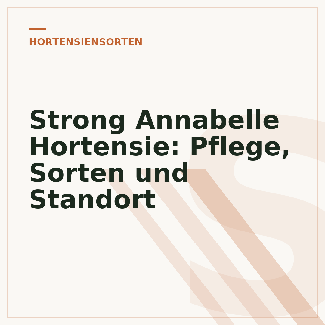 Strong Annabelle Hortensie: Pflege, Sorten und Standort