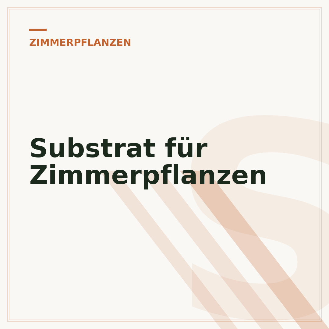 Substrat für Zimmerpflanzen
