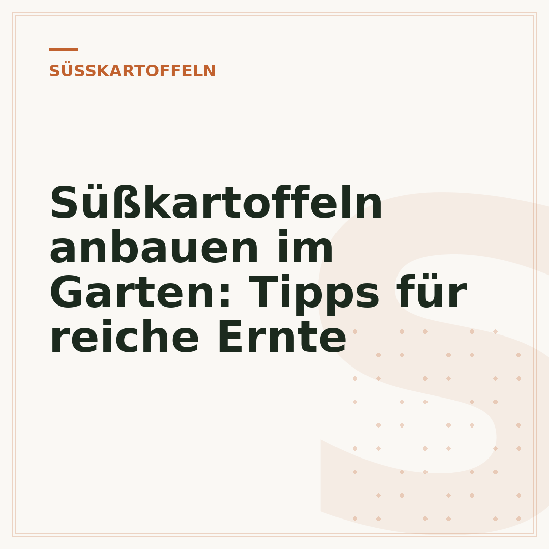 Süßkartoffeln anbauen im Garten: Tipps für reiche Ernte