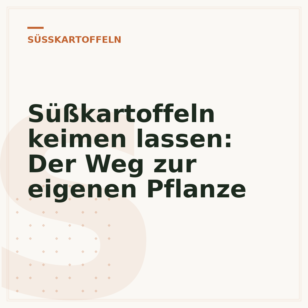Süßkartoffeln keimen lassen: Der Weg zur eigenen Pflanze