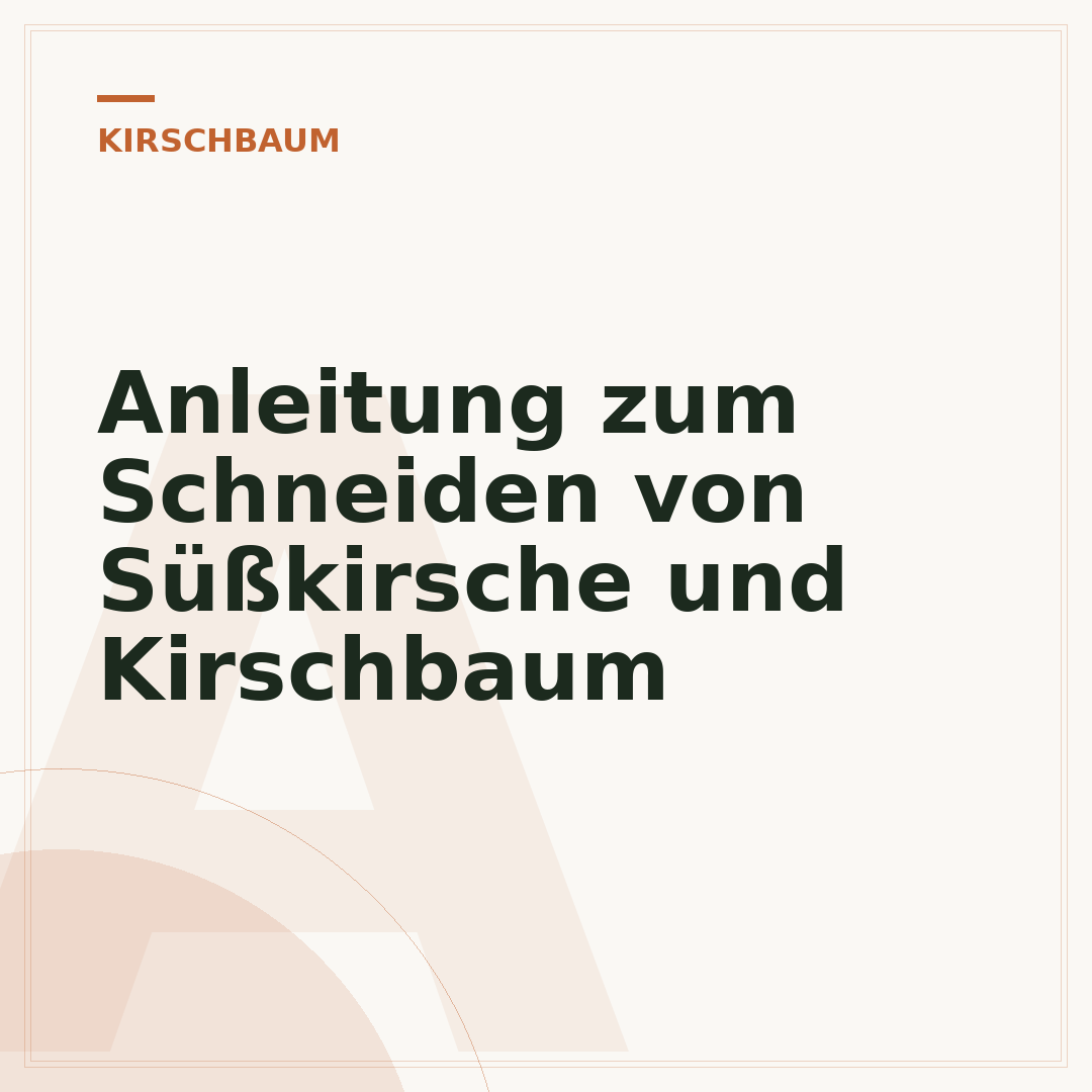 Anleitung zum Schneiden von Süßkirsche und Kirschbaum