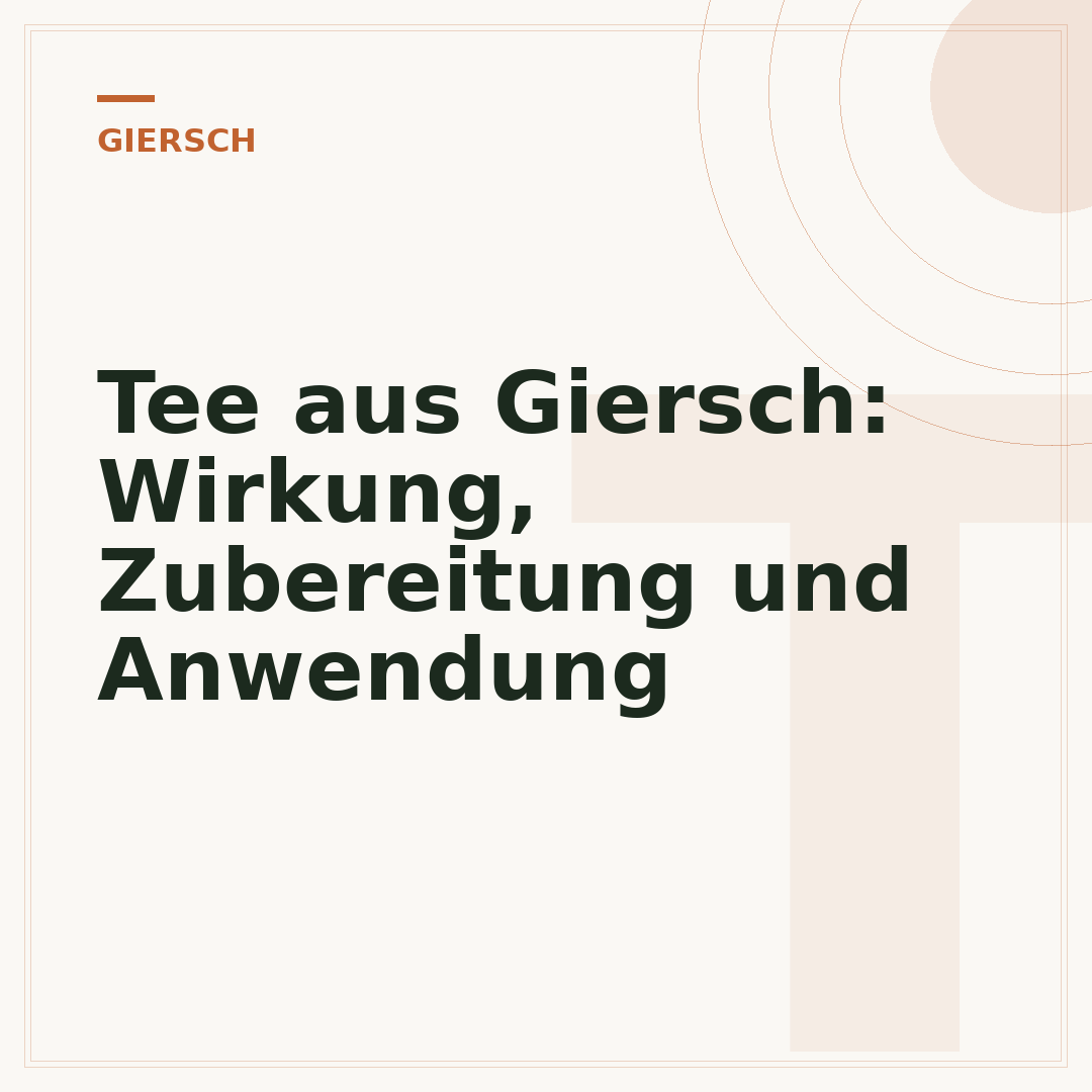 Tee aus Giersch: Wirkung, Zubereitung und Anwendung