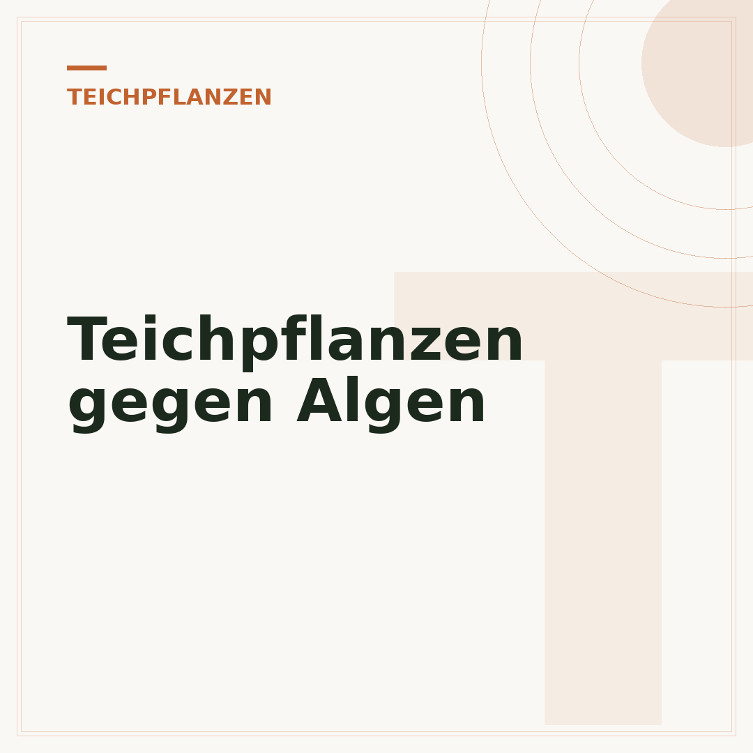 Teichpflanzen gegen Algen