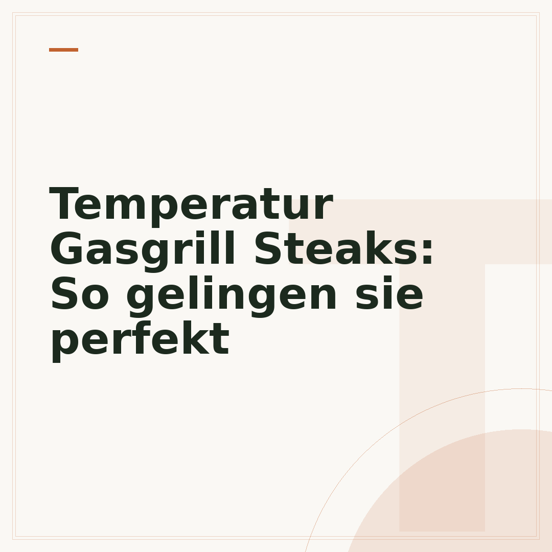 Temperatur Gasgrill Steaks: So gelingen sie perfekt