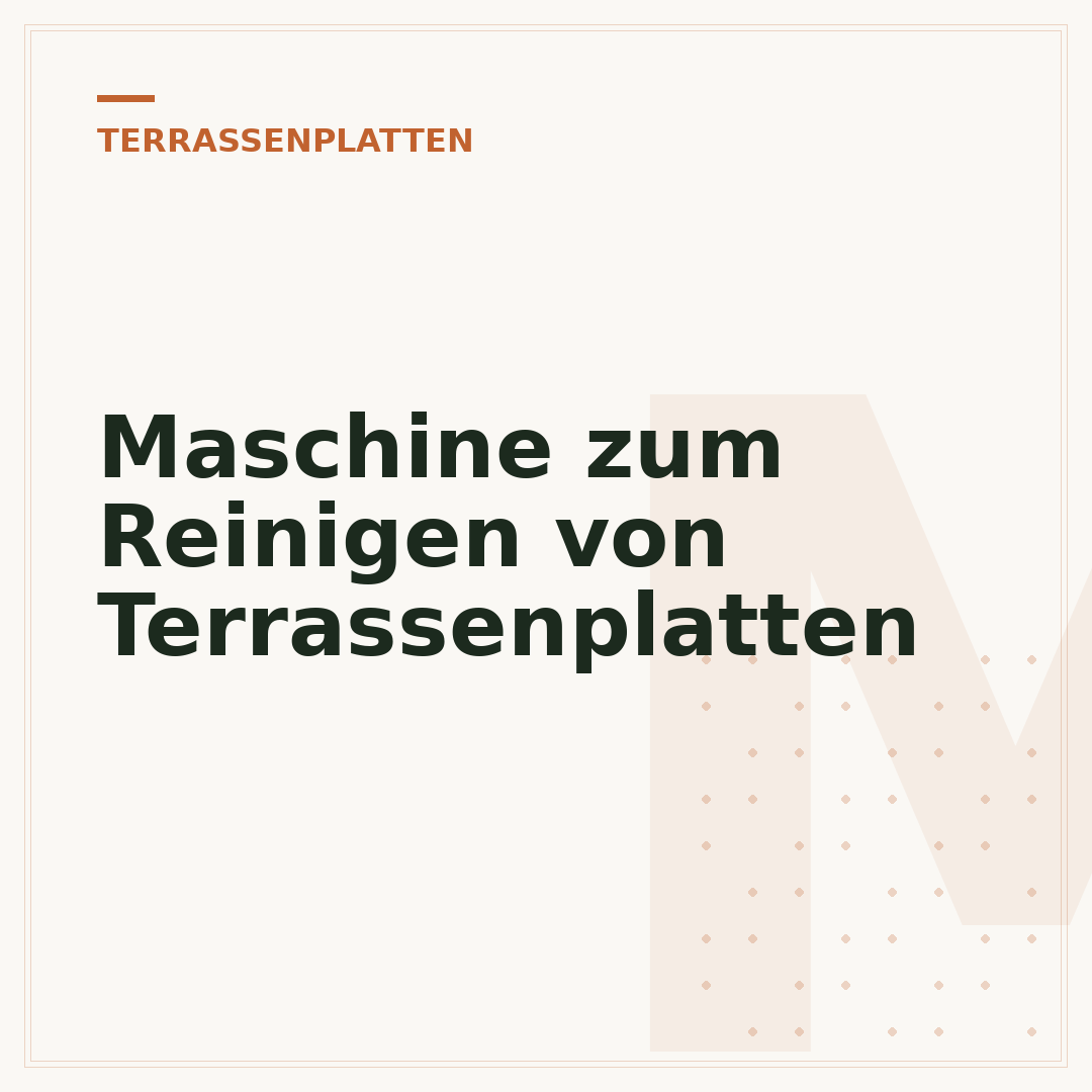 Maschine zum Reinigen von Terrassenplatten
