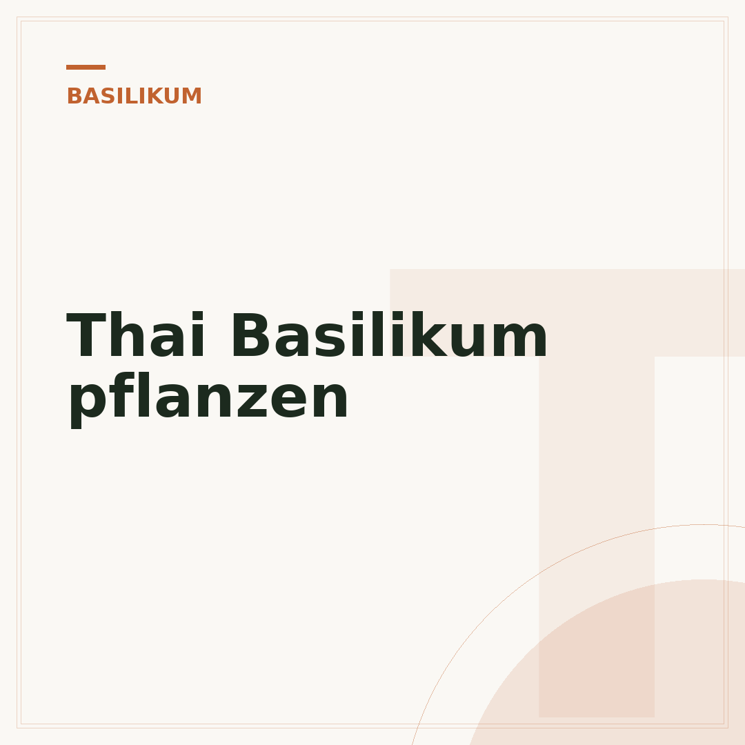 Thai Basilikum pflanzen