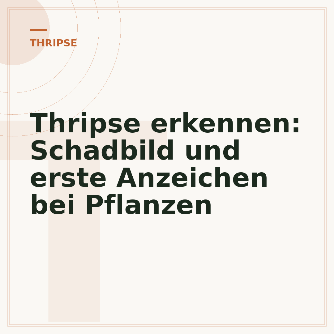 Thripse erkennen: Schadbild und erste Anzeichen bei Pflanzen
