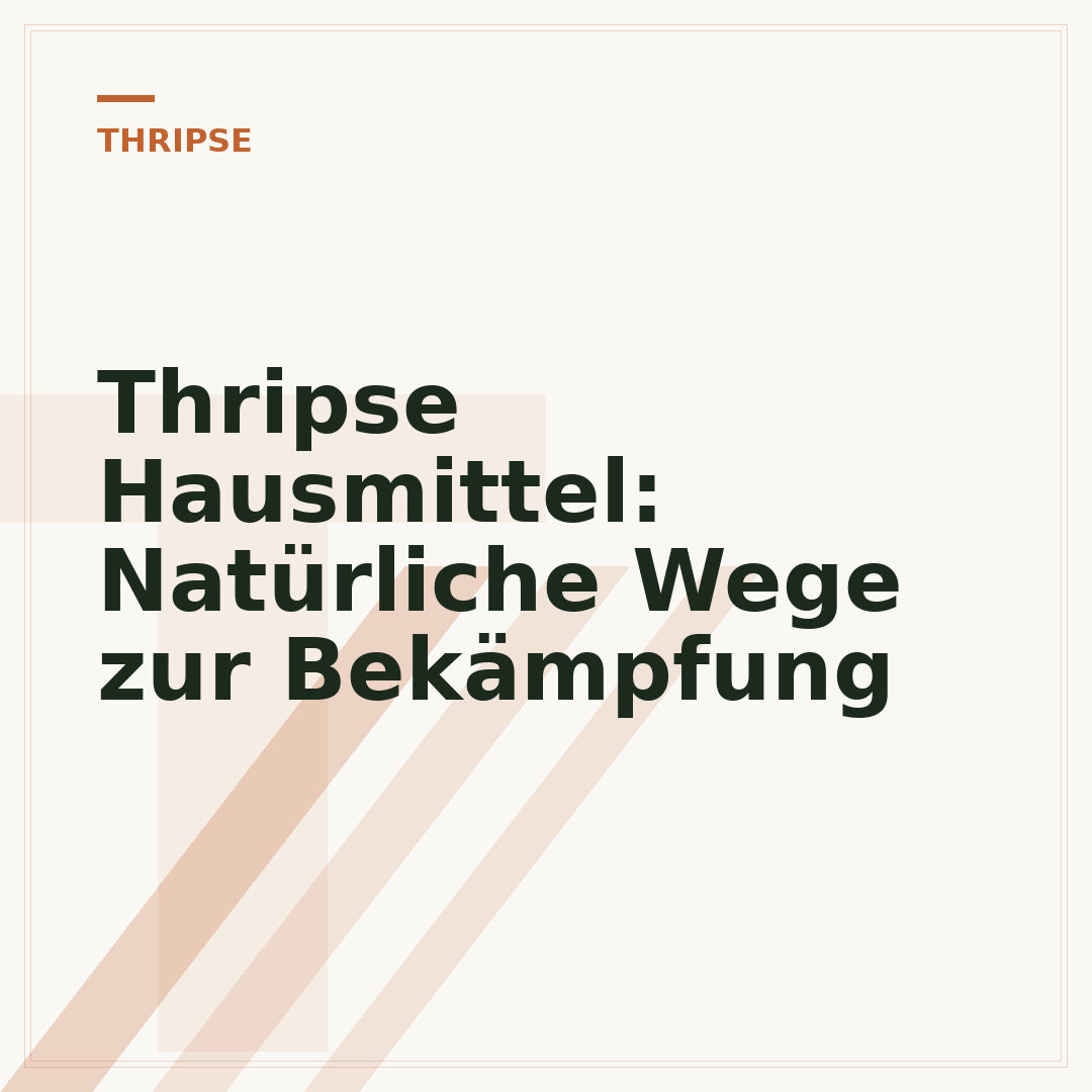 Thripse Hausmittel: Natürliche Wege zur Bekämpfung