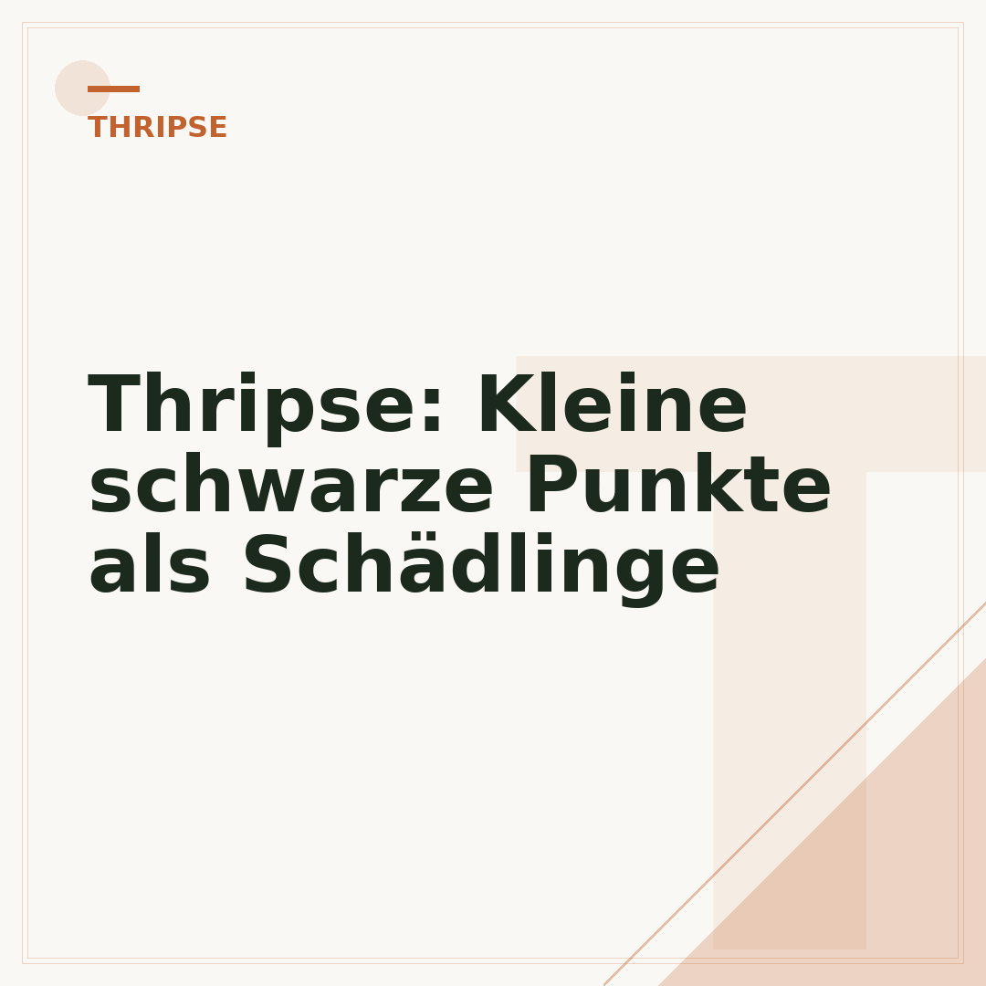 Thripse: Kleine schwarze Punkte als Schädlinge