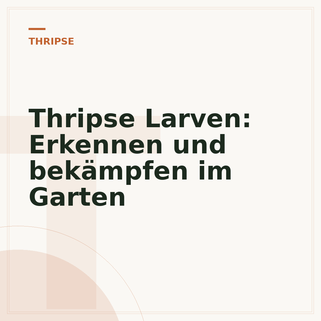 Thripse Larven: Erkennen und bekämpfen im Garten