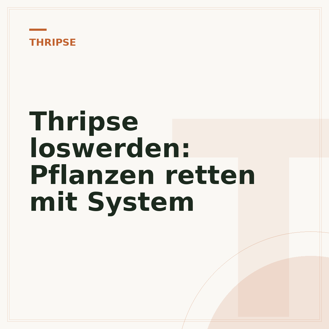 Thripse loswerden: Pflanzen retten mit System