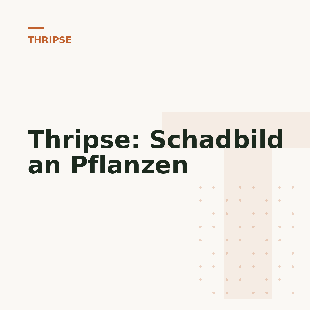 Thripse: Schadbild an Pflanzen