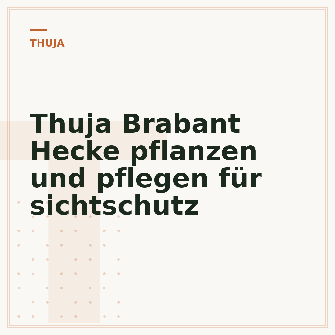 Thuja Brabant Hecke pflanzen und pflegen für sichtschutz