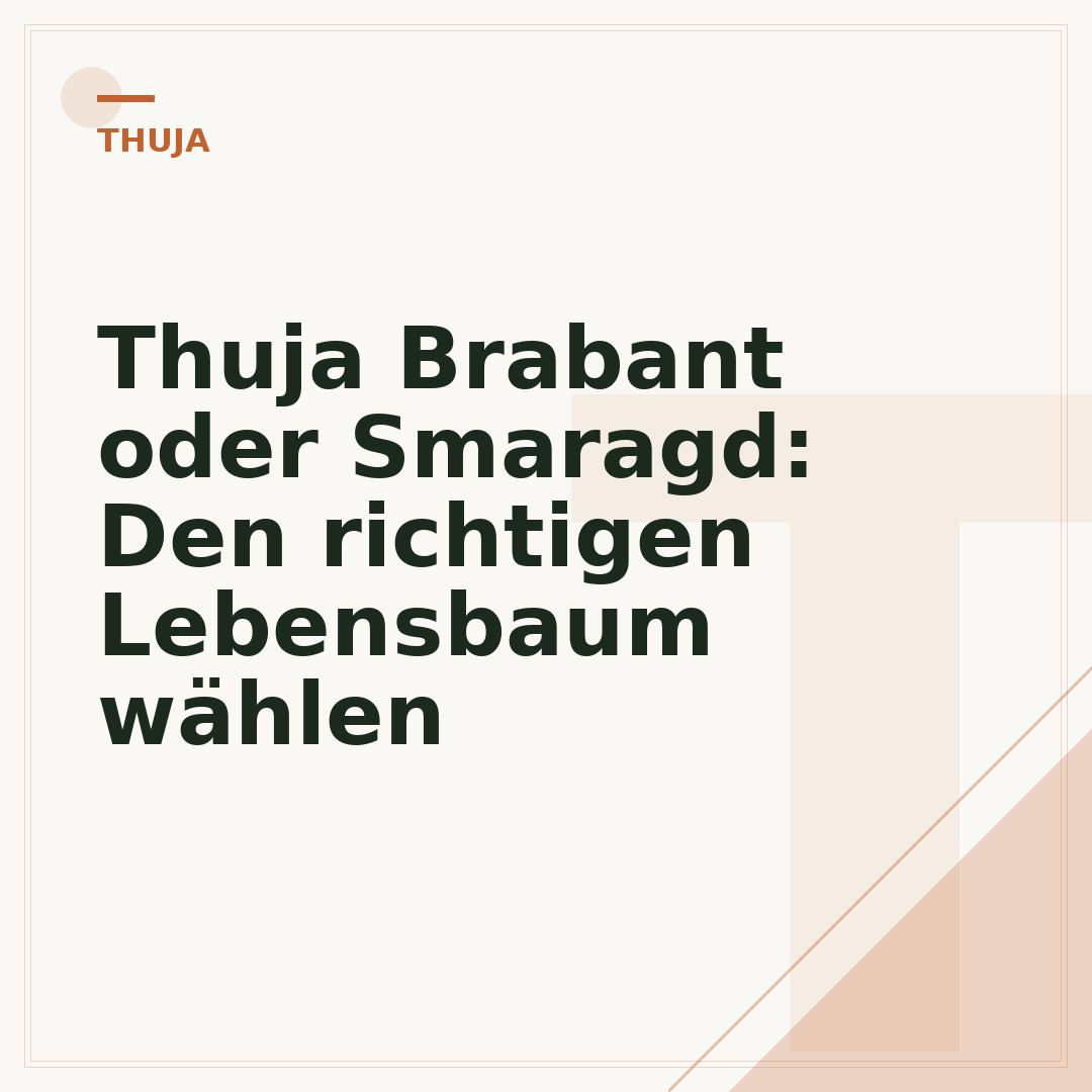 Thuja Brabant oder Smaragd: Den richtigen Lebensbaum wählen