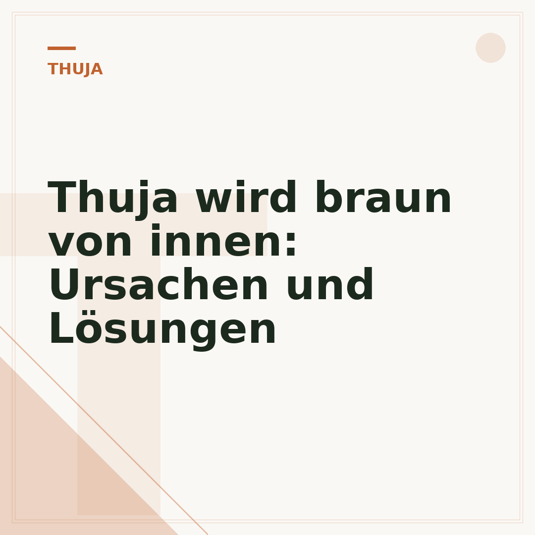 Thuja wird braun von innen: Ursachen und Lösungen