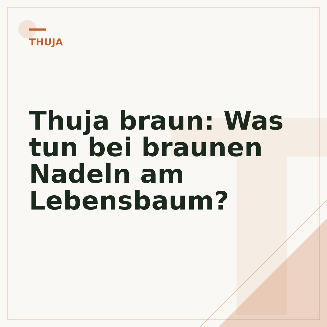 Thuja braun: Was tun bei braunen Nadeln am Lebensbaum?