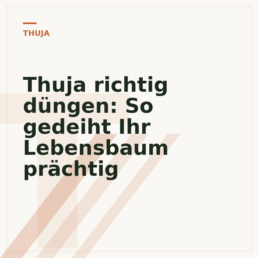 Thuja richtig düngen: So gedeiht Ihr Lebensbaum prächtig