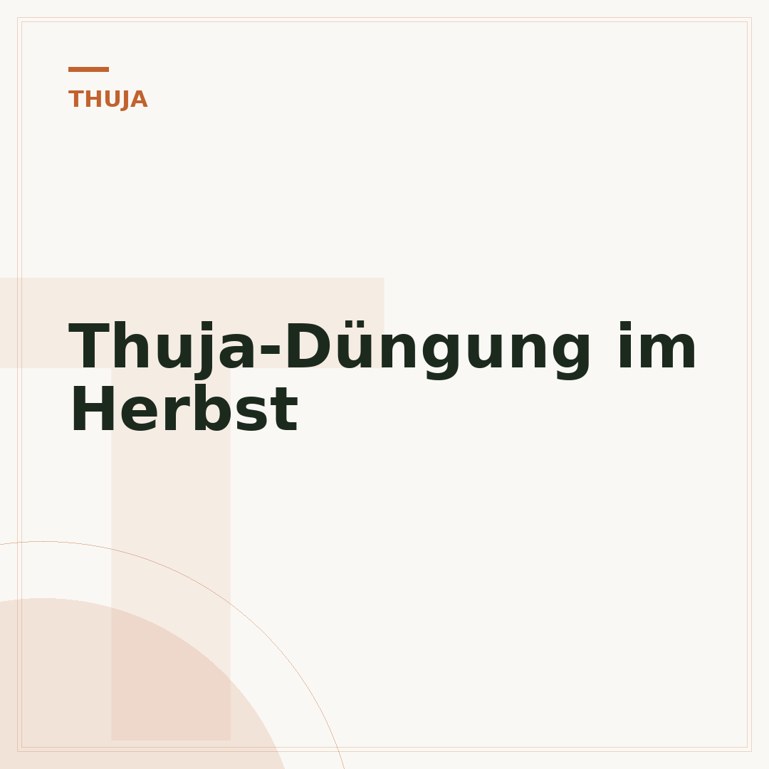 Thuja-Düngung im Herbst