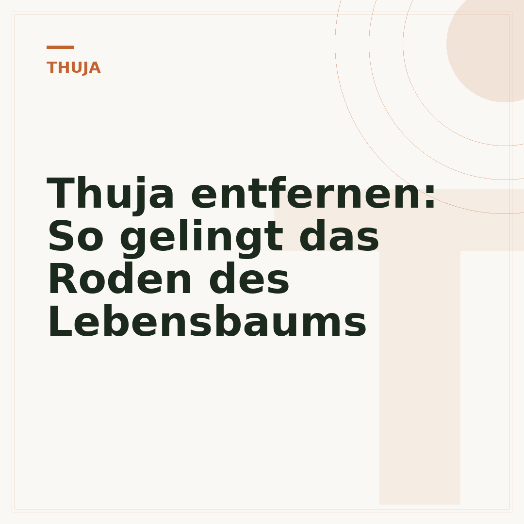 Thuja entfernen: So gelingt das Roden des Lebensbaums