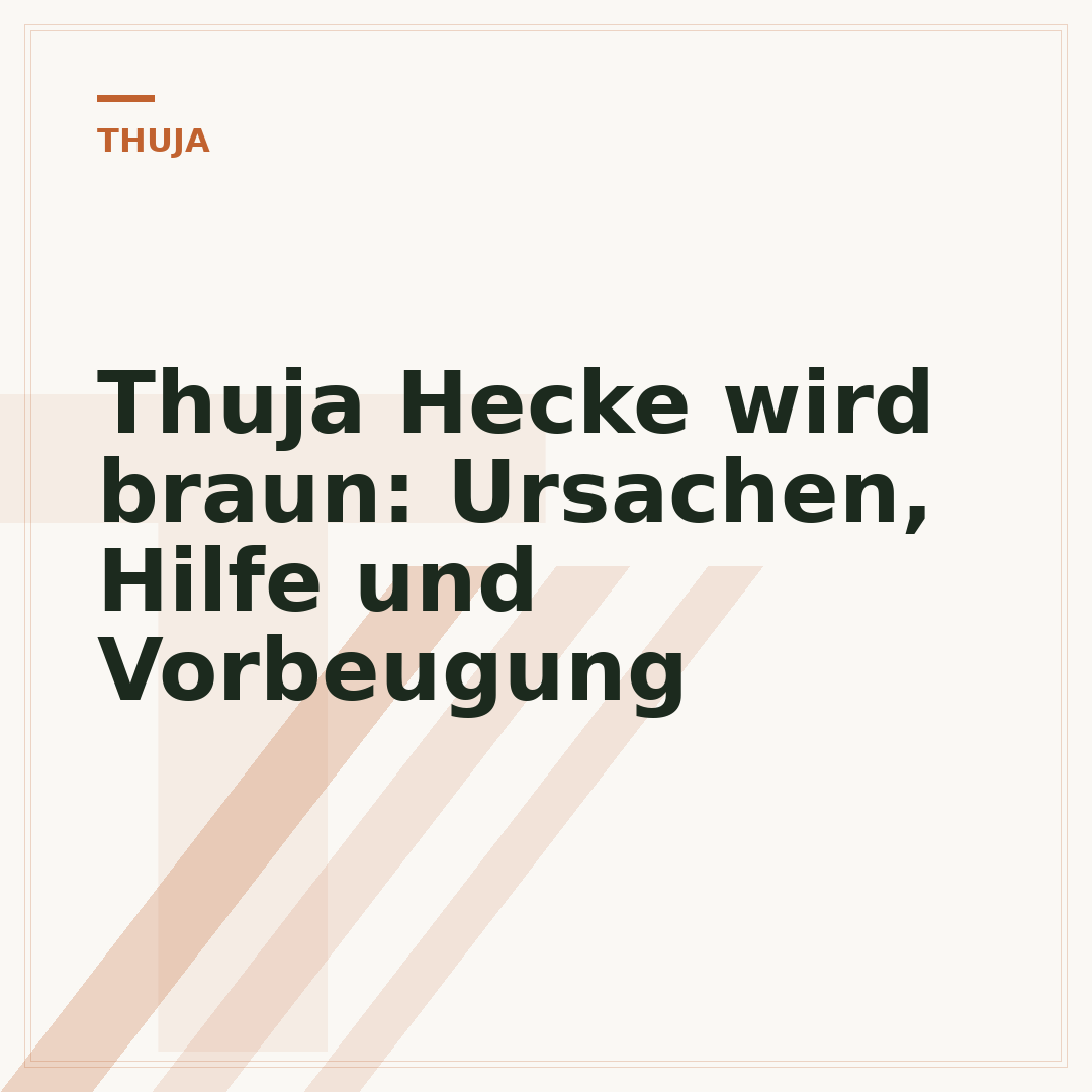 Thuja Hecke wird braun: Ursachen, Hilfe und Vorbeugung