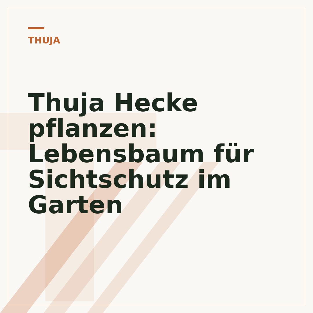 Thuja Hecke pflanzen: Lebensbaum für Sichtschutz im Garten