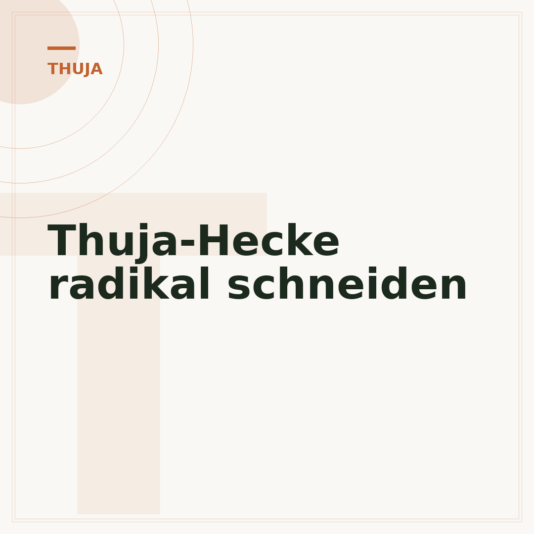 Thuja-Hecke radikal schneiden