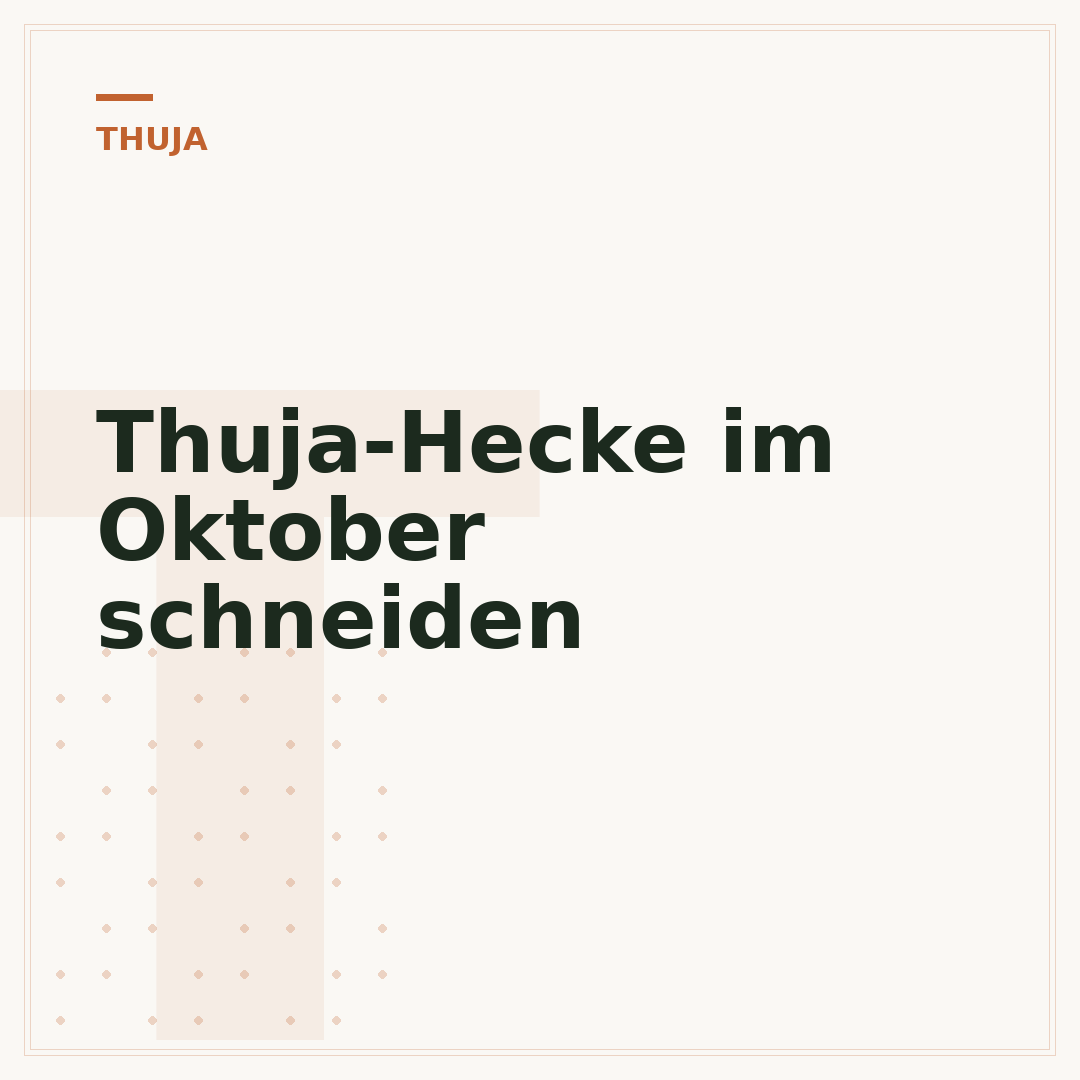 Thuja-Hecke im Oktober schneiden