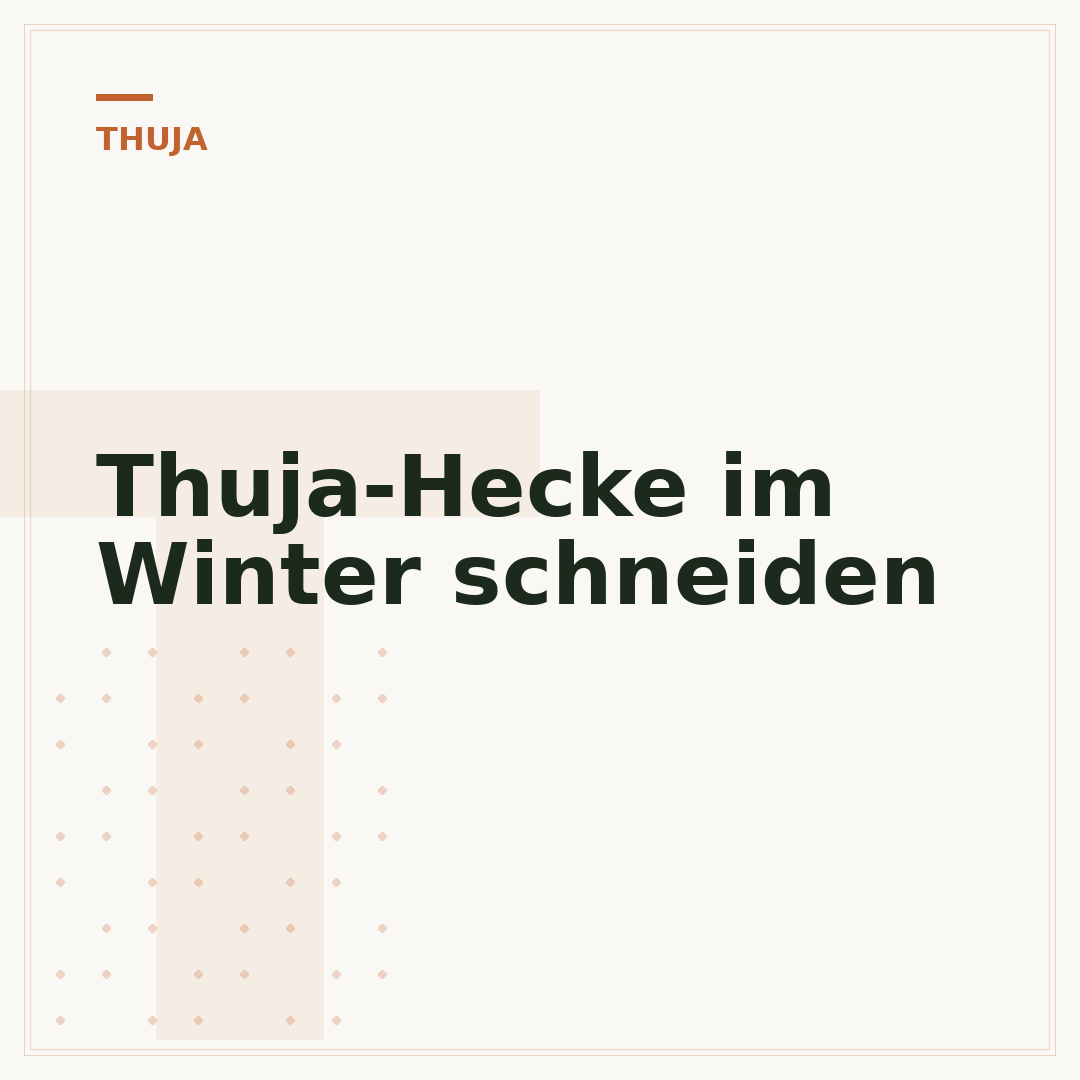 Thuja-Hecke im Winter schneiden
