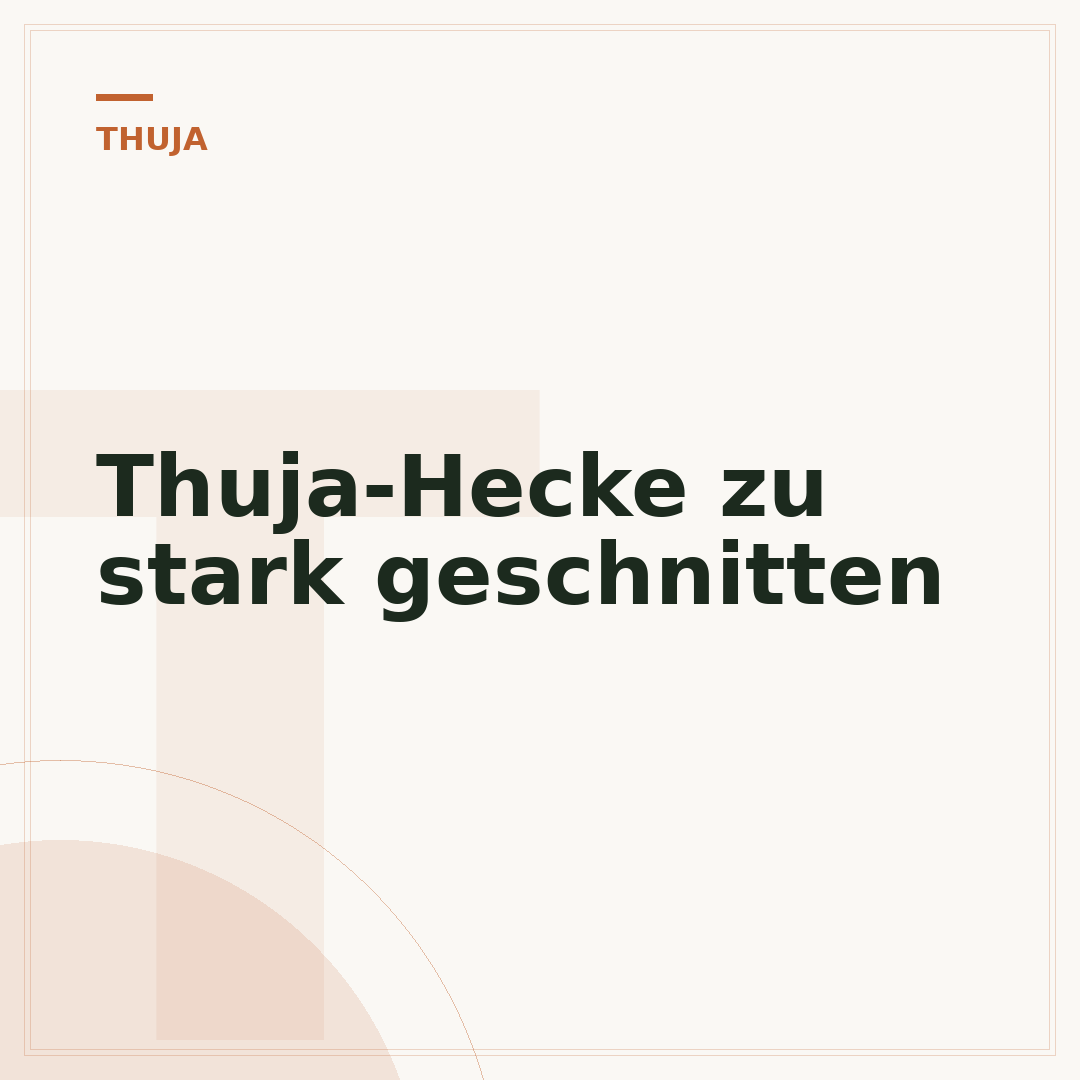 Thuja-Hecke zu stark geschnitten