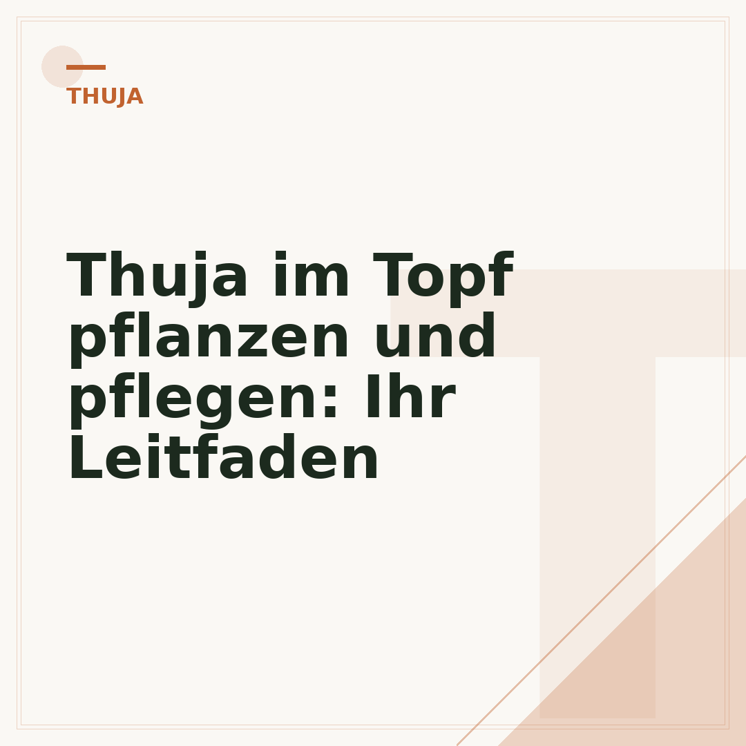 Thuja im Topf pflanzen und pflegen: Ihr Leitfaden