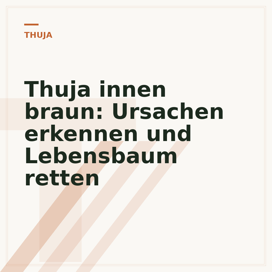 Thuja innen braun: Ursachen erkennen und Lebensbaum retten