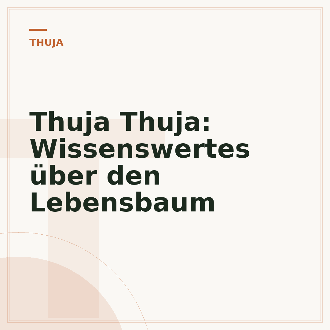 Thuja Thuja: Wissenswertes über den Lebensbaum