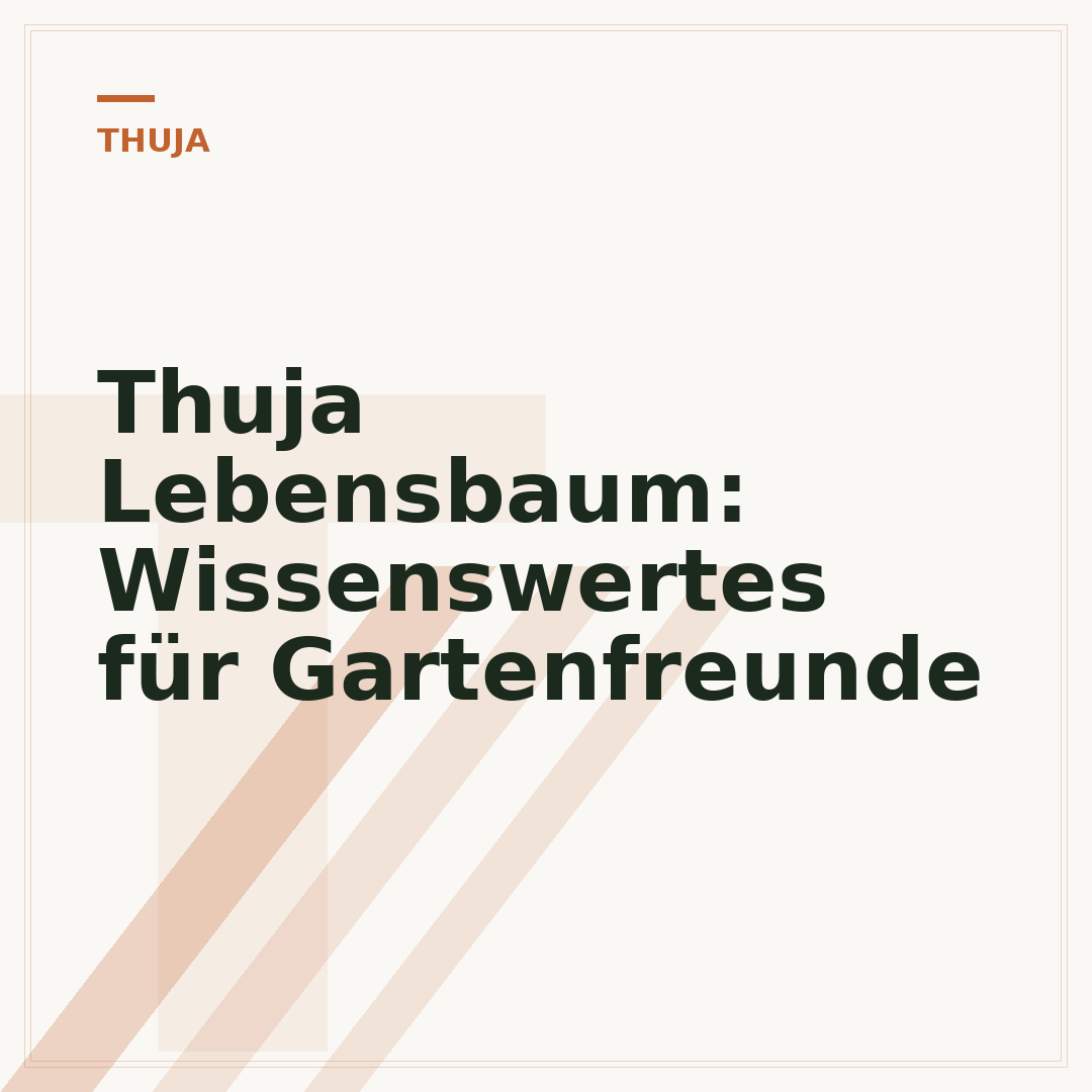 Thuja Lebensbaum: Wissenswertes für Gartenfreunde
