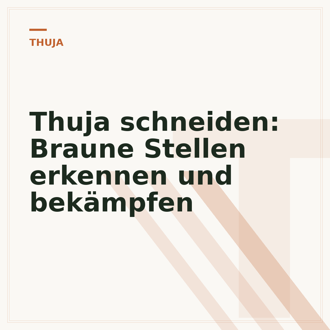 Thuja schneiden: Braune Stellen erkennen und bekämpfen