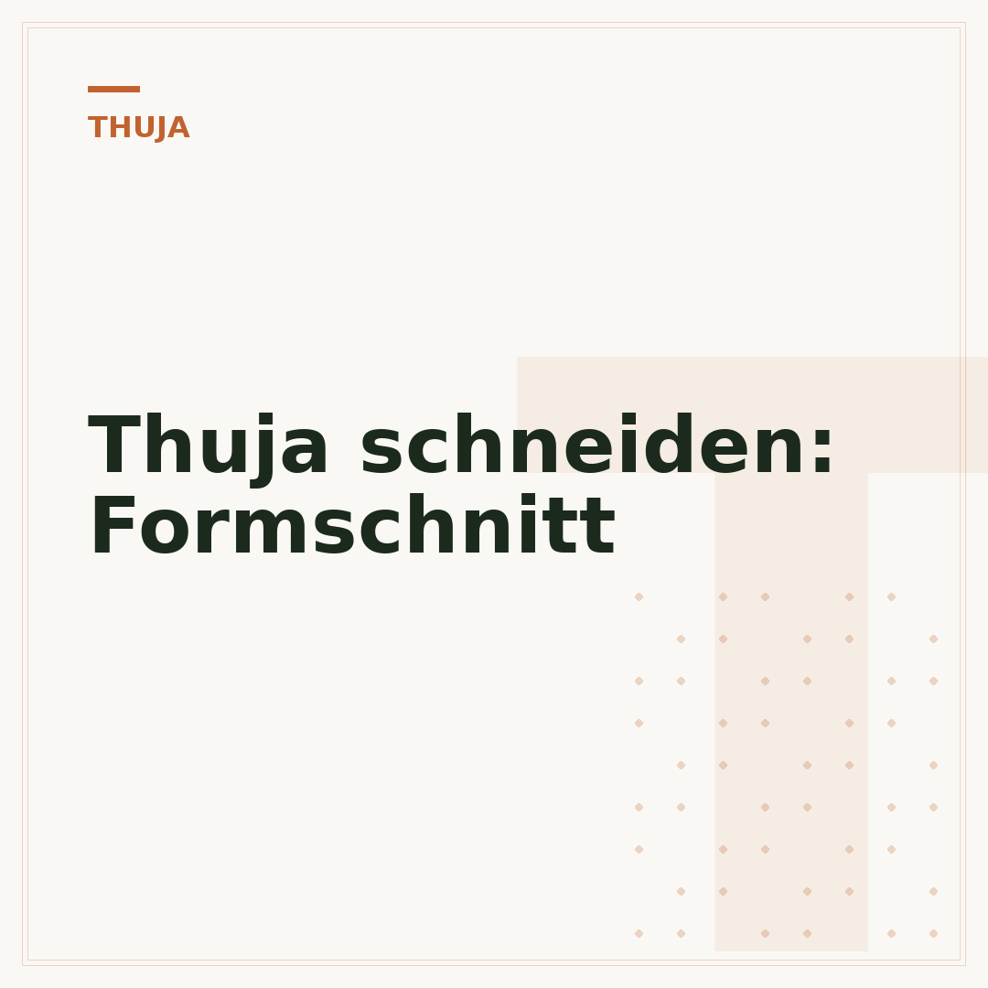 Thuja schneiden: Formschnitt