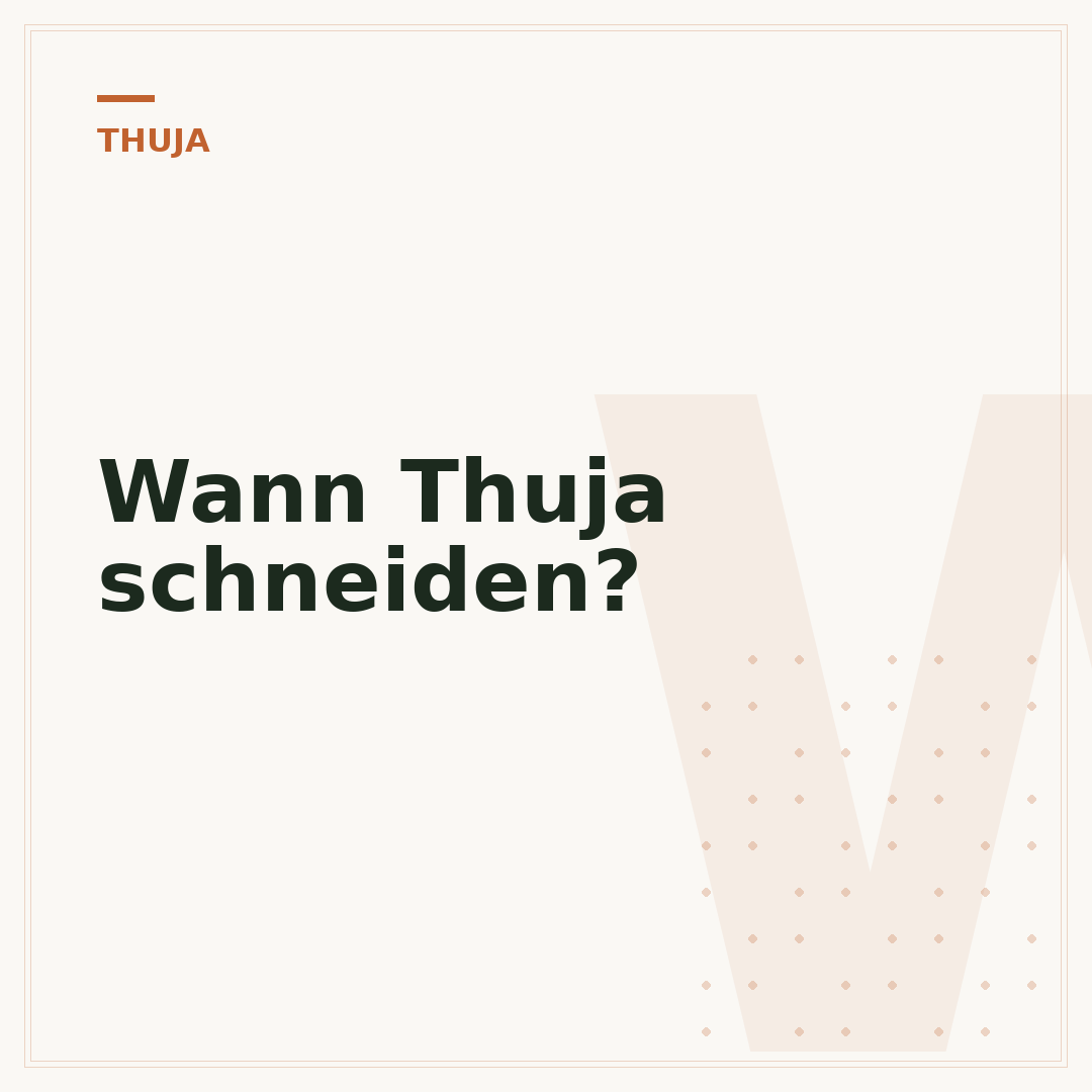 Wann Thuja schneiden?