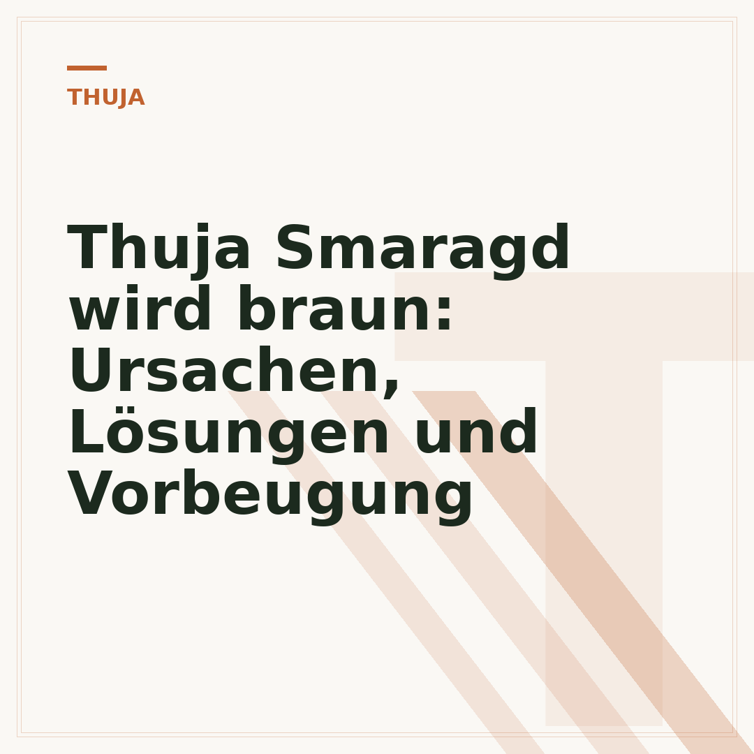Thuja Smaragd wird braun: Ursachen, Lösungen und Vorbeugung